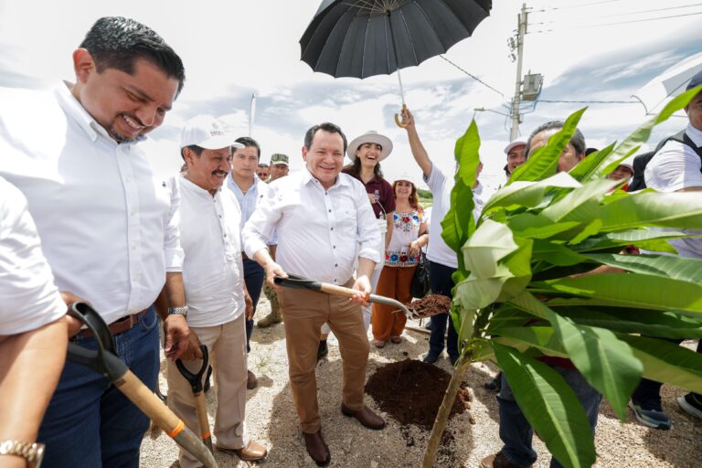 Siembran más de 5 mil árboles en Valladolid con la estrategia Renacimiento Verde