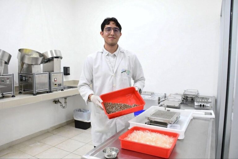 Yucatán destaca en estrategia nacional contra el dengue con solo nueve casos registrados